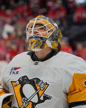 Image post by @penguins on Instagram