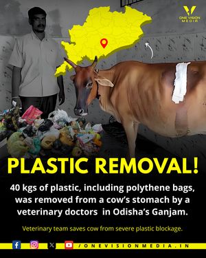 Image post by @onevisionmedia.in on Instagram