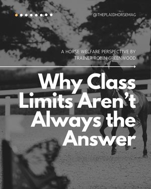 Image post by @theplaidhorsemag on Instagram