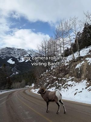 Video post by @sidelinekailey on TikTok