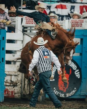 Image post by @resistol1927 on Instagram