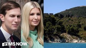 Video post by @msnbc on YouTube