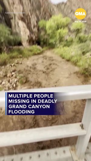 Video post by @gma on TikTok