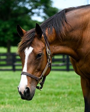 Image post by @coolmoreamerica on Instagram