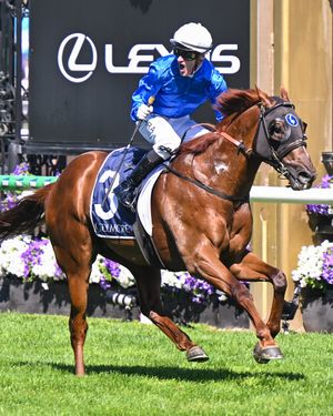 Image post by @godolphin on Instagram