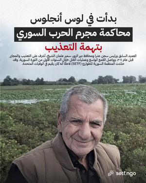 Image post by @syrianetf on Instagram