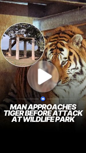 Image post by @dailymail on Instagram