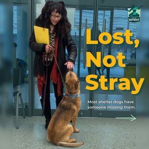 Image post by @DetroitGSD on Facebook