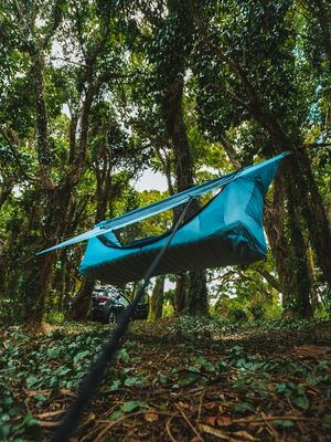 Image post by @haventents on Instagram