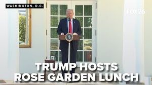 Video post by @kmphfox26 on YouTube