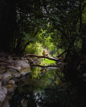 Image post by @bulutsahin on Instagram