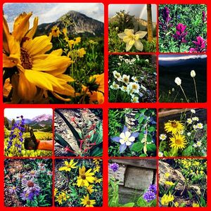 Image post by @skicrestedbutte on Instagram