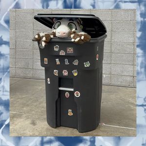 Image post by @evdalesio on Instagram