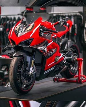 Image post by @panigalers on Instagram