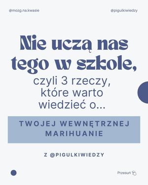 Image post by @mozg.na.kwasie on Instagram