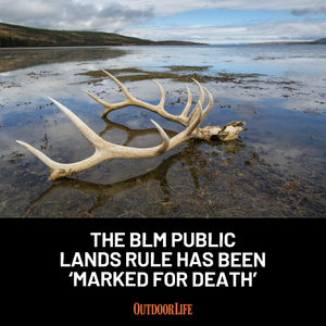Image post by @outdoor_life on Instagram