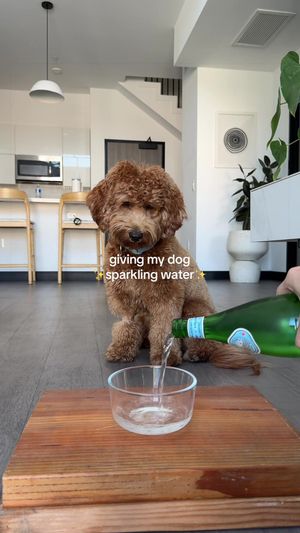 Video post by @tedflixnchill on TikTok