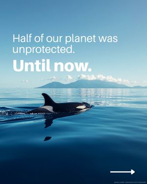 Image post by @unitednations on Instagram