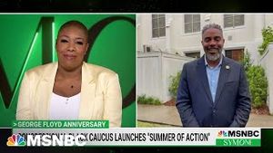 Video post by @MSNBC on YouTube