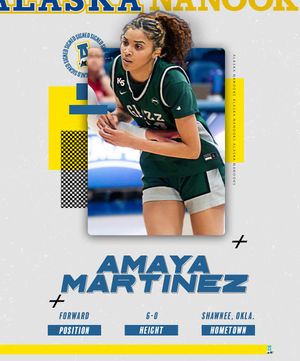 Image post by @nanookswbb on Instagram