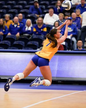 Image post by @pitt_vb on Instagram