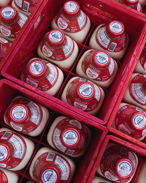 Image post by @strausmilk on Instagram