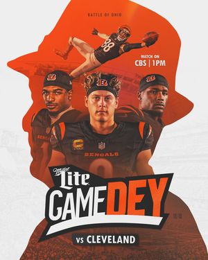Image post by @bengals on Instagram
