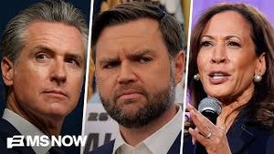 Video post by @msnbc on YouTube