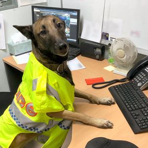 Image post by @victoriapolice on Instagram