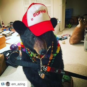 Image post by @terrierfh on Instagram