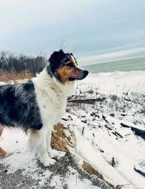 Image post by @tourlakecountyoh on Instagram
