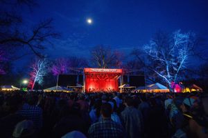 Image post by @treefortfest on Instagram
