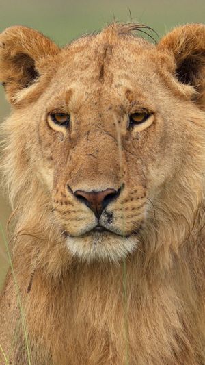Video post by @natgeotv on Instagram