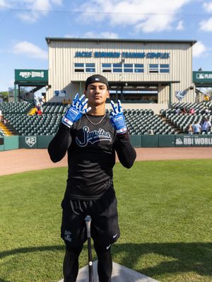 Image post by @gohammerheads on Instagram