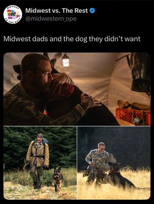 Video post by @midwestvstherest on TikTok