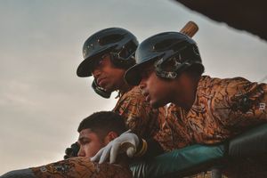 Image post by @GoWoodDucks on Twitter