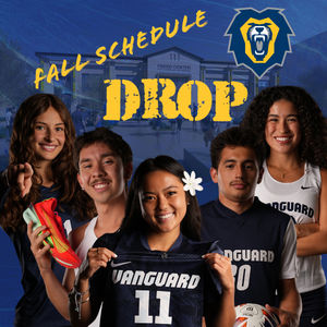 Image post by @vulions on Instagram
