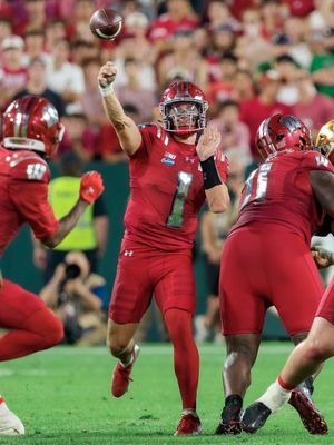 Image post by @rollbadgers on Instagram