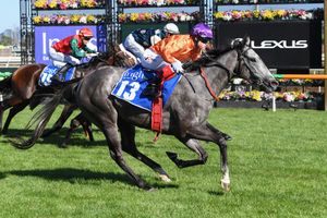 Image post by @flemingtonvrc on Instagram