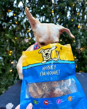 Image post by @honeyimhome on Instagram