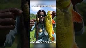 Video post by @hoodfishingentertainment on YouTube