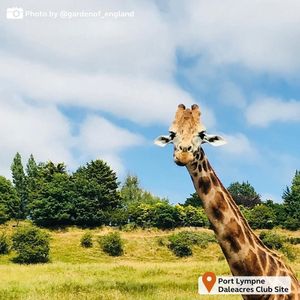 Image post by @candmclub on Instagram