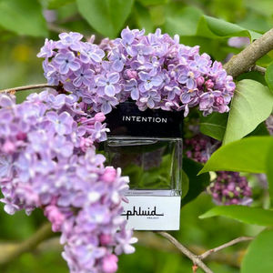 Image post by @scentbeauty on Instagram