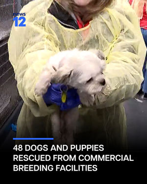 Image post by @news12li on Instagram