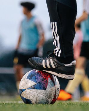 Image post by @nsc.academy on Instagram