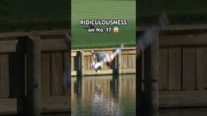 Video post by @PGA TOUR on YouTube