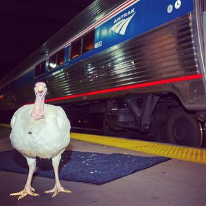 Image post by @amtrak on Instagram