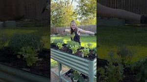 Video post by @annathearcher on YouTube