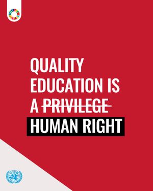 Image post by @unitednations on Instagram