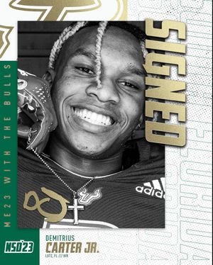 Image post by @usffootball on Instagram